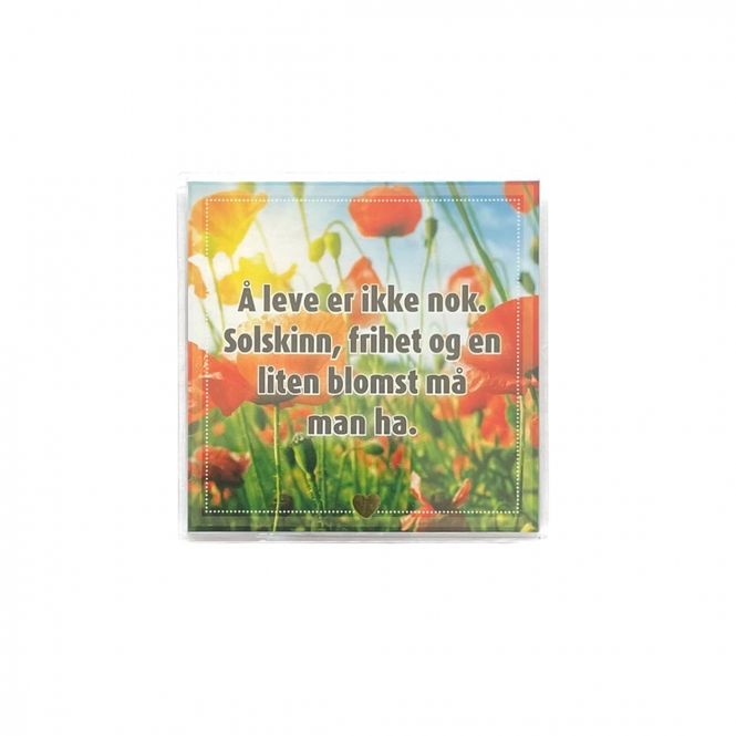 Hovedbilde Kjøleskapsmagnet / magnetramme