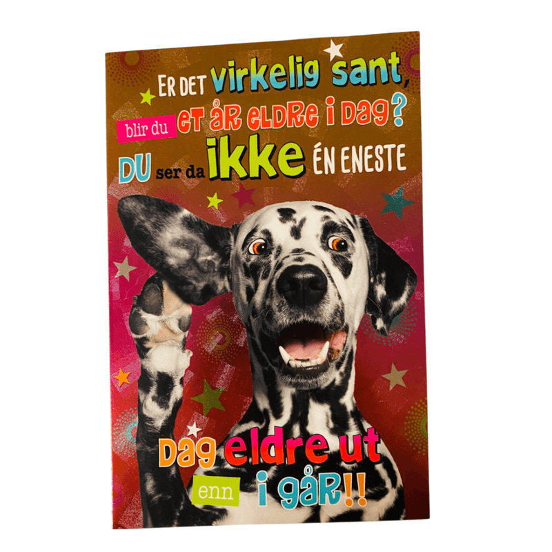 Gratulasjonskort dobbelt m/konvolutt hund